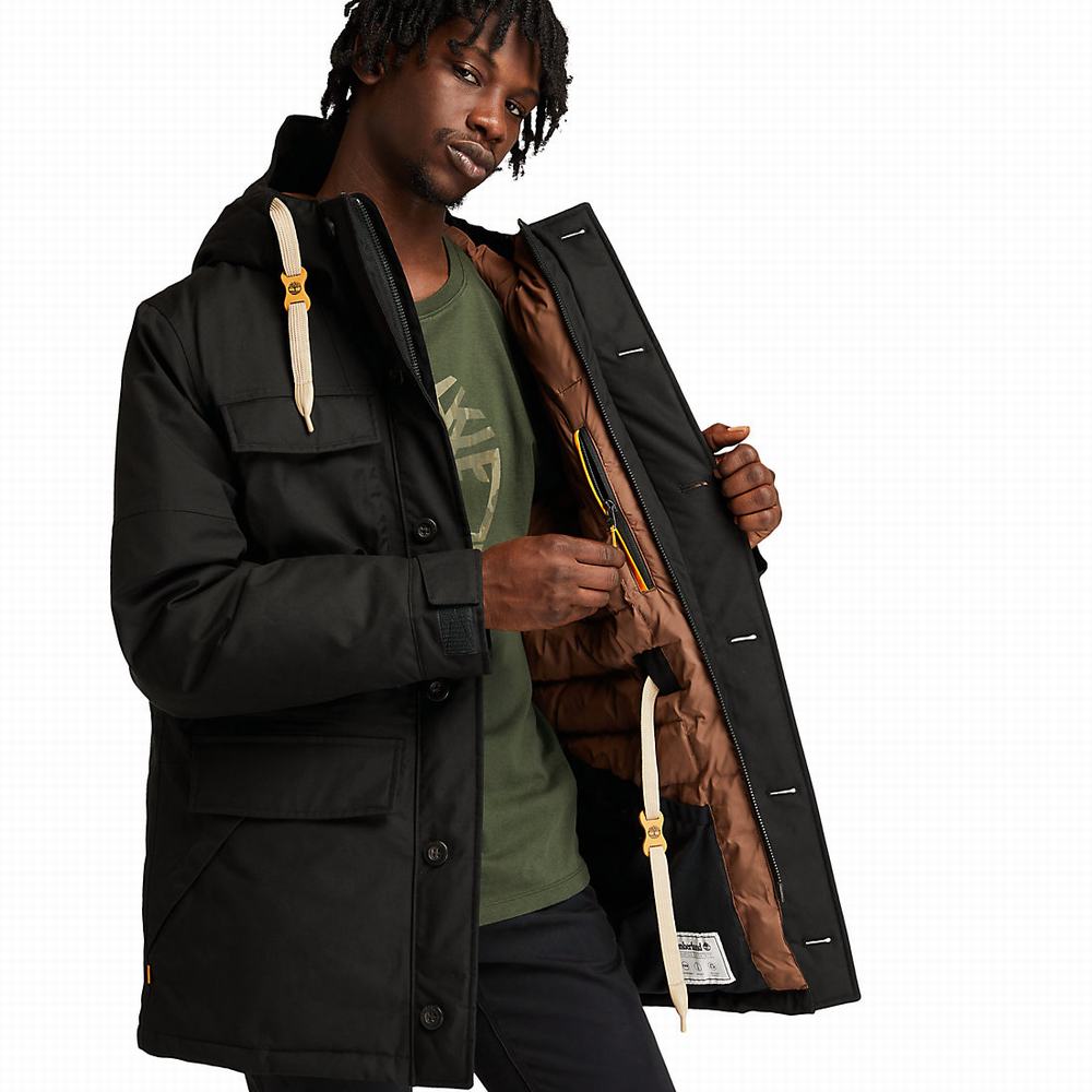 Timberland Wilmington DryVent™ Field Parka Ceketler Erkek Siyah | TR-2019C