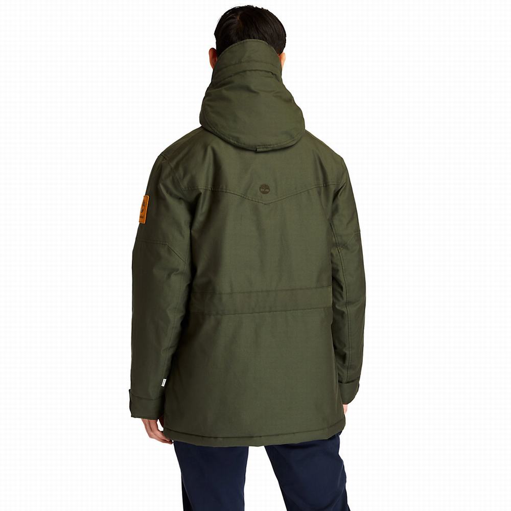 Timberland Wilmington DryVent™ Field Parka Ceketler Erkek Koyu Yeşil | TR-3195X