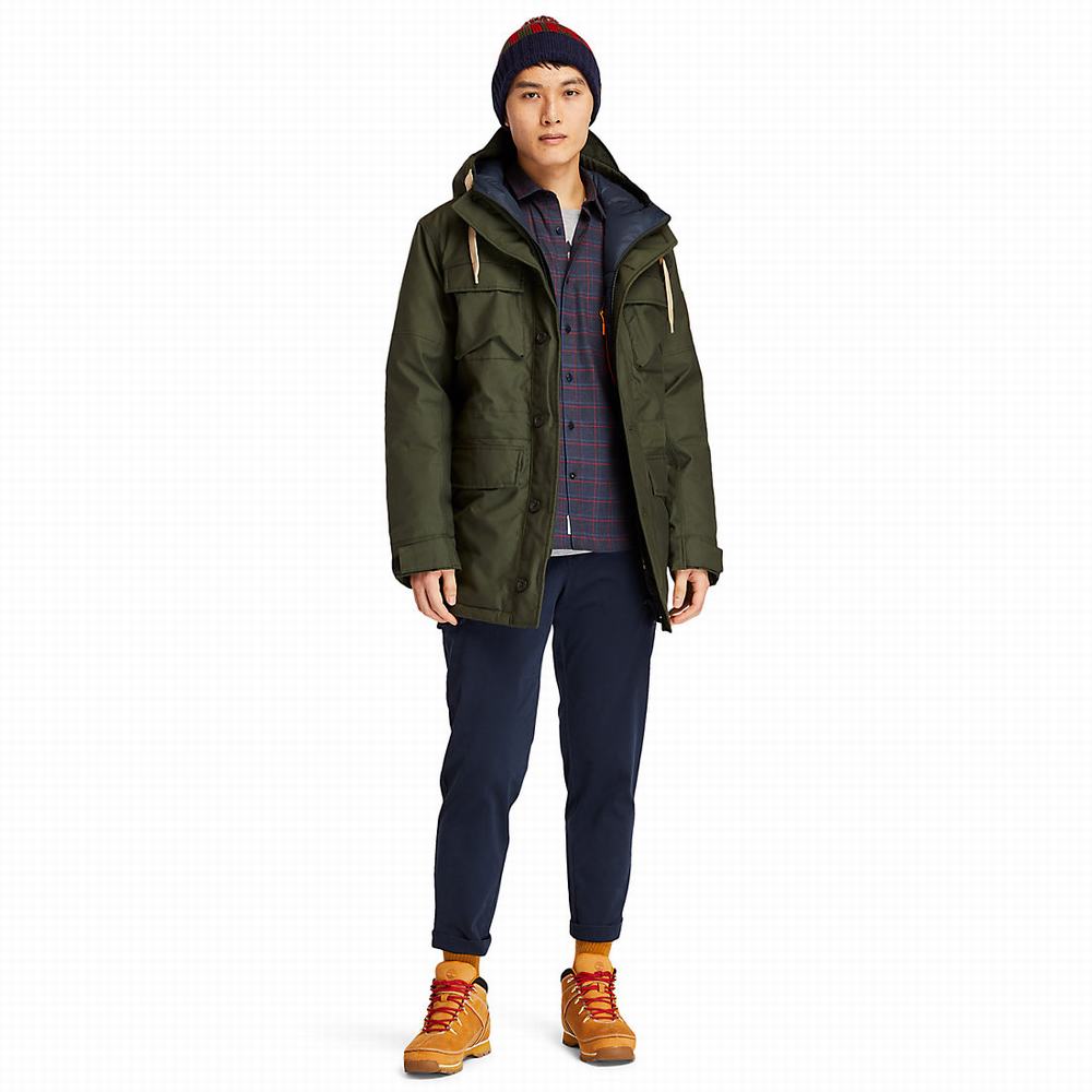 Timberland Wilmington DryVent™ Field Parka Ceketler Erkek Koyu Yeşil | TR-3195X