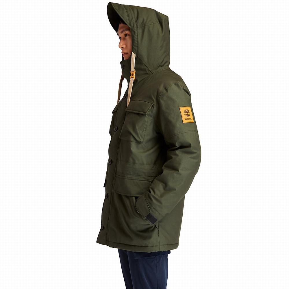 Timberland Wilmington DryVent™ Field Parka Ceketler Erkek Koyu Yeşil | TR-3195X
