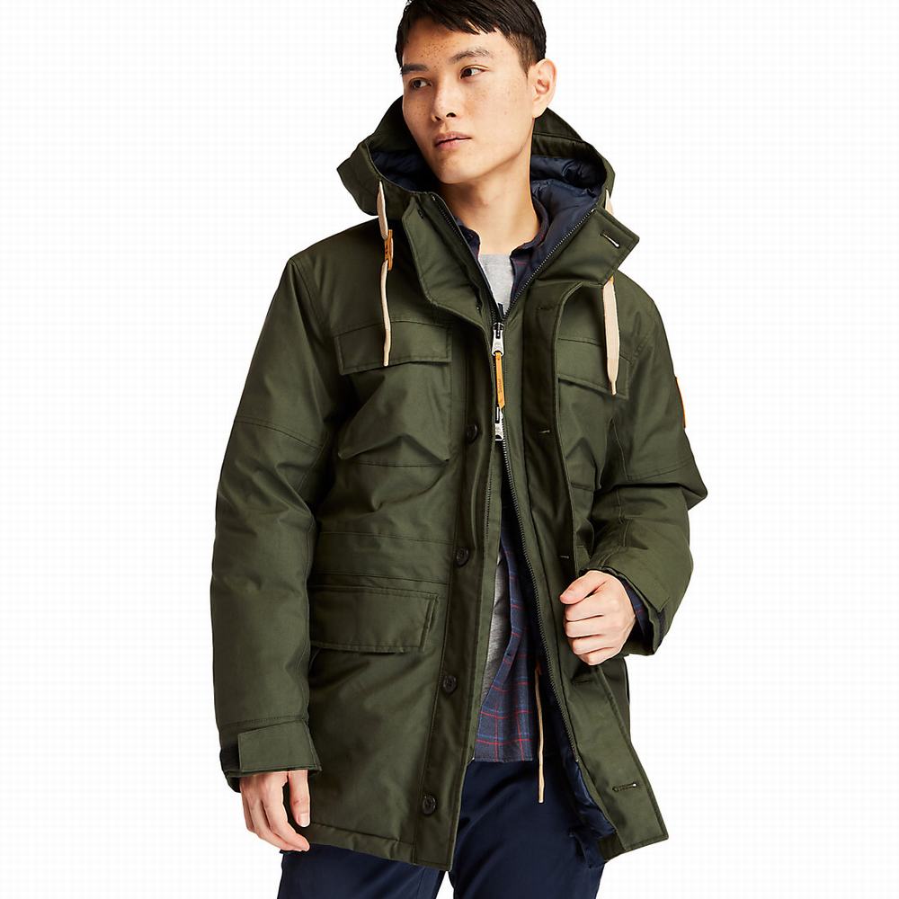 Timberland Wilmington DryVent™ Field Parka Ceketler Erkek Koyu Yeşil | TR-3195X