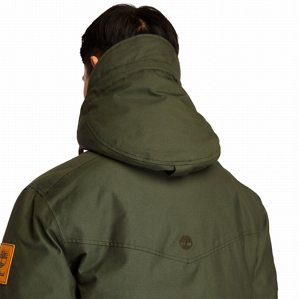 Timberland Wilmington DryVent™ Field Parka Ceketler Erkek Koyu Yeşil | TR-3195X