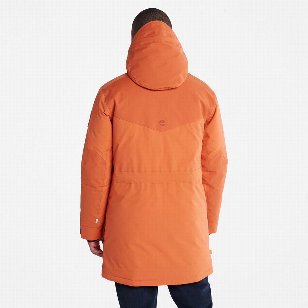 Timberland Wilmington Expedition Parka Ceketler Erkek Turuncu | TR-4698N