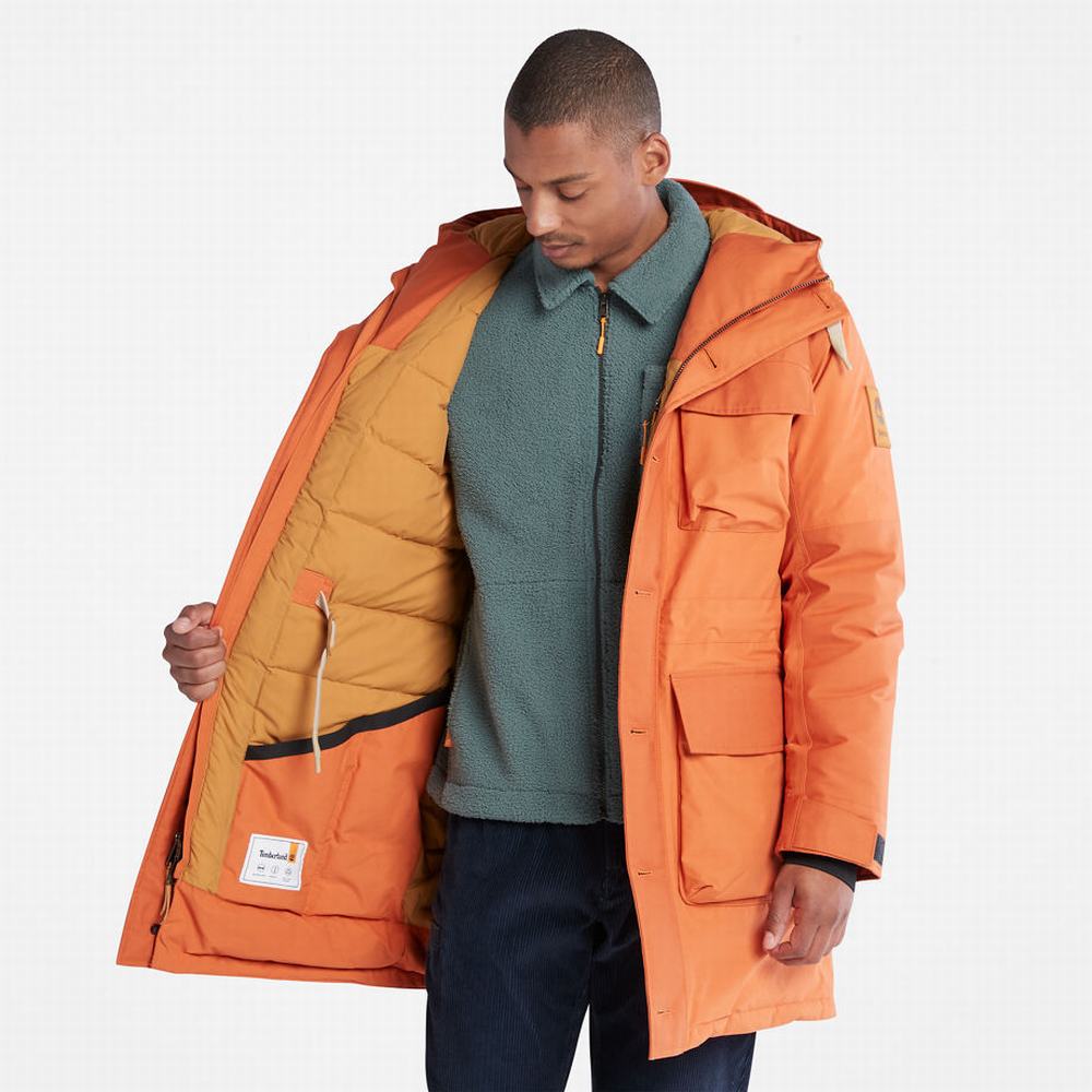 Timberland Wilmington Expedition Parka Ceketler Erkek Turuncu | TR-4698N