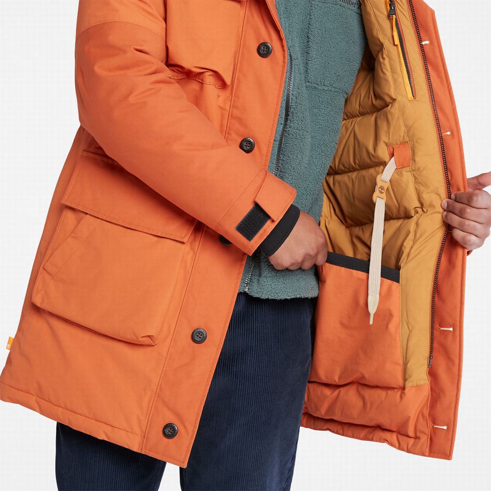 Timberland Wilmington Expedition Parka Ceketler Erkek Turuncu | TR-4698N