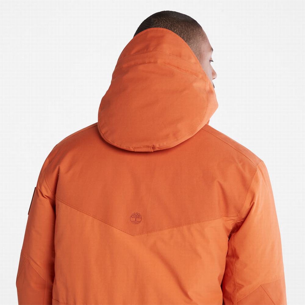 Timberland Wilmington Expedition Parka Ceketler Erkek Turuncu | TR-4698N