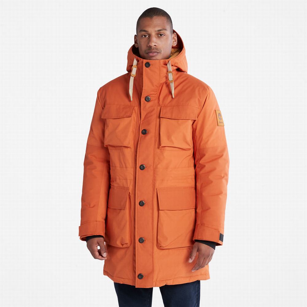 Timberland Wilmington Expedition Parka Ceketler Erkek Turuncu | TR-4698N