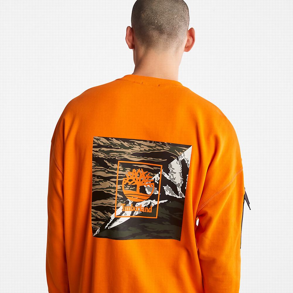 Timberland Year of the Tiger Tişörtü Erkek Turuncu | TR-5297W