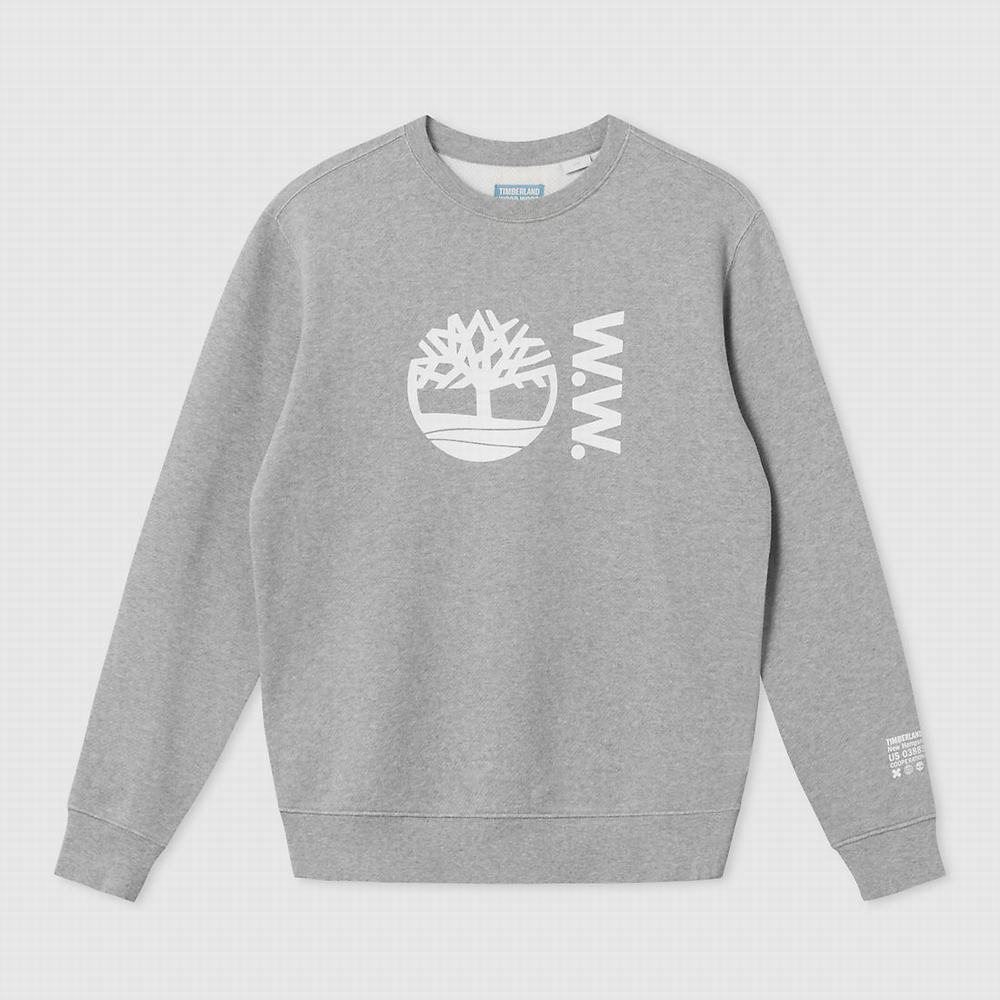 Timberland x WoodWood Crew Tişörtü Erkek Gri | TR-0617N