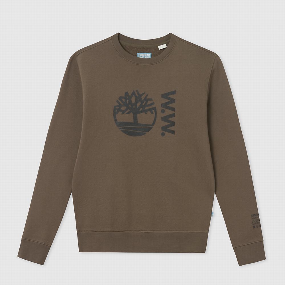 Timberland x WoodWood Crew Tişörtü Erkek Gri | TR-6845M