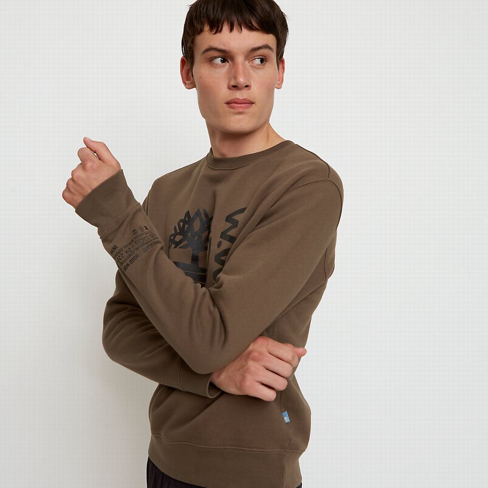 Timberland x WoodWood Crew Tişörtü Erkek Gri | TR-6845M