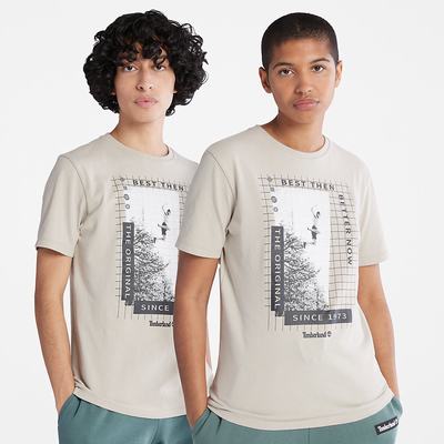Timberland All Gender Heavyweight Front-Graphic Tişört Erkek Açık Gri | TR-9842G