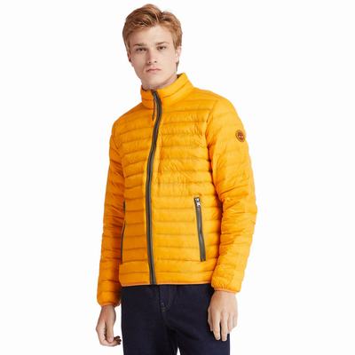 Timberland Axis Peak Packable Ceket Erkek Sarı | TR-3704N