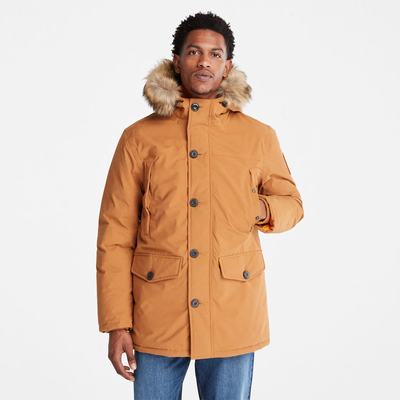 Timberland Boundary Peak Warm Parka Ceketler Erkek Sarı | TR-9320T