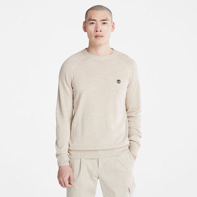Timberland Crewneck Raglan Süveter Erkek Açık Gri | TR-9350Q