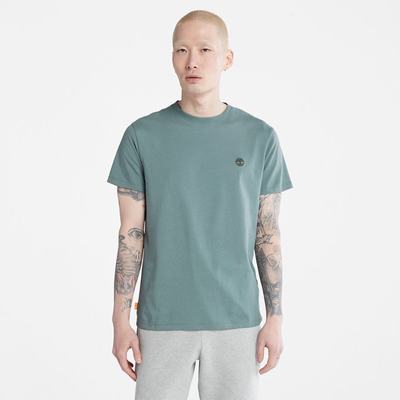Timberland Dunstan River Crewneck Tişört Erkek Yeşil | TR-2561H