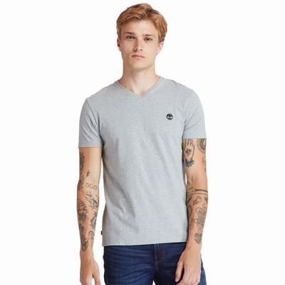 Timberland Dunstan River V-Neck Tişört Erkek Gri | TR-3492H