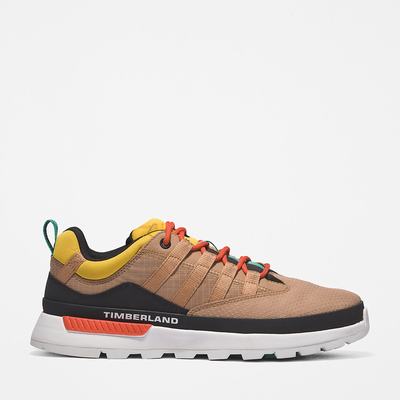Timberland Euro Trekker Low Spor Ayakkabı Erkek Bej Rengi | TR-1726P