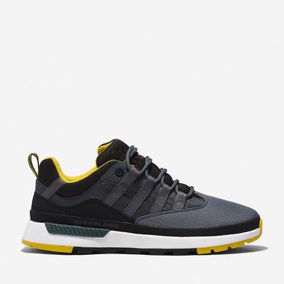 Timberland Euro Trekker Low Spor Ayakkabı Erkek Gri | TR-1980A