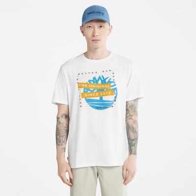 Timberland Front-Graphic Tişört Erkek Beyaz | TR-2713B