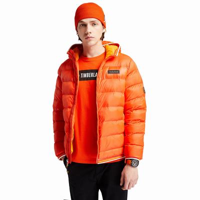 Timberland Garfield Kukuletalı Puffer Ceket Erkek Turuncu | TR-2346L