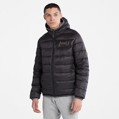 Timberland Garfield Kukuletalı Puffer Ceket Erkek Siyah | TR-2607B