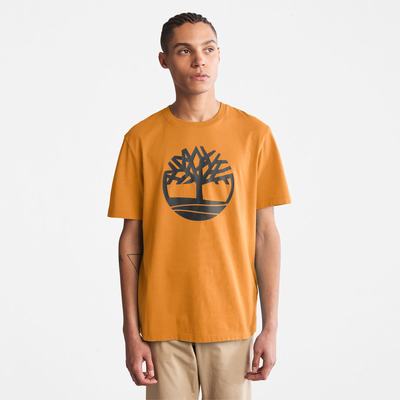 Timberland Kennebec River Tree Logo Tişört Erkek Sarı | TR-4036R