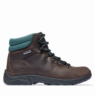 Timberland Mount Maddsen Hiker Yürüyüş Botu Kadın Koyu Kahverengi | TR-9451L