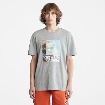 Timberland Nature Needs Heroes™ Front-Graphic Tişört Erkek Gri | TR-5236Z