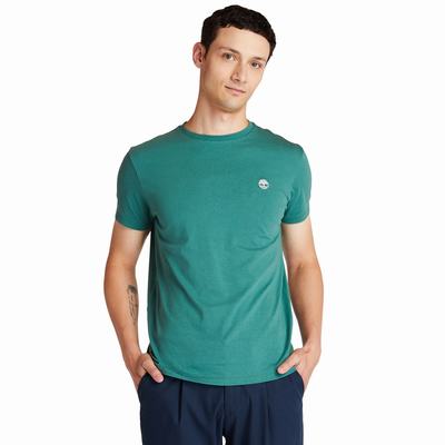 Timberland Organic Pamuklu Logo Tişört Erkek Yeşil | TR-1923C