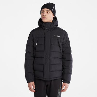 Timberland Outdoor Archive Puffer Ceket Erkek Siyah | TR-1608B