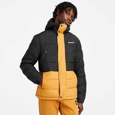 Timberland Outdoor Archive Puffer Ceket Erkek Sarı | TR-5698J