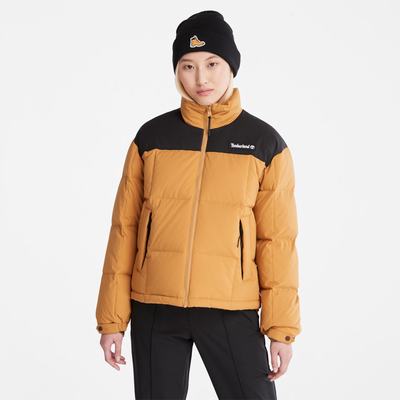 Timberland Oversize Re:Down® Insulation Puffer Ceket Kadın Kahverengi | TR-0183B