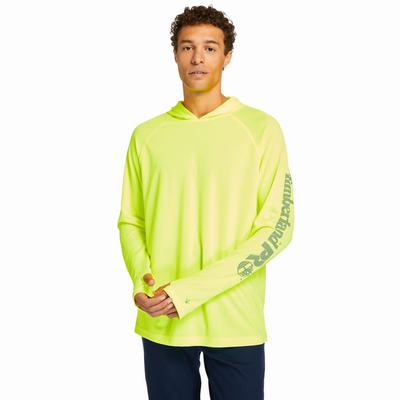 Timberland PRO® Wicking Good Kapüşonlu Sweatshirt Erkek Sarı | TR-4015C