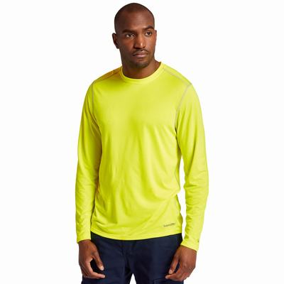 Timberland PRO® Wicking Good Sport Long-Sleeve Tişört Erkek Sarı | TR-8546A