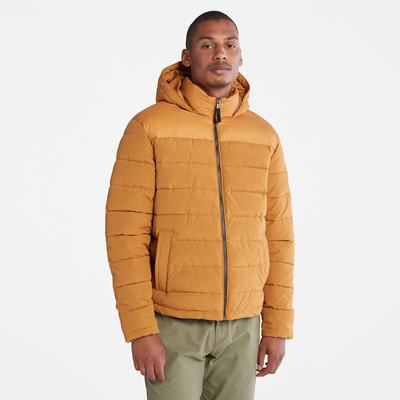 Timberland South Twin Ceket Erkek Sarı | TR-5917Z