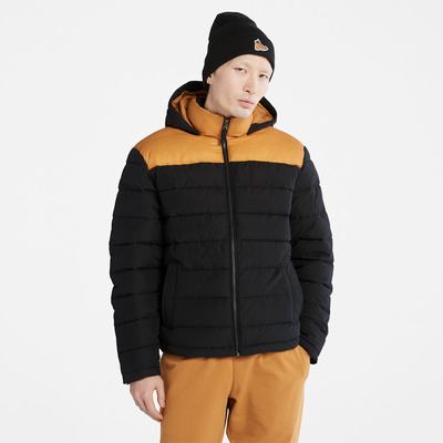 Timberland South Twin Ceket Erkek Siyah Sarı | TR-0928L