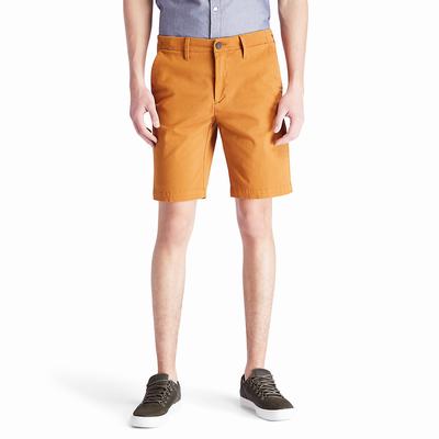 Timberland Squam Lake Chino Şort Erkek Sarı | TR-9475Y