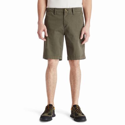 Timberland Squam Lake Chino Şort Erkek Yeşil | TR-2945T