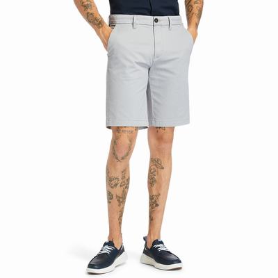 Timberland Squam Lake Stretch Chino Şort Erkek Gri | TR-7421G