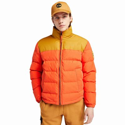 Timberland Welch Mountain Puffer Ceket Erkek Turuncu | TR-7103J
