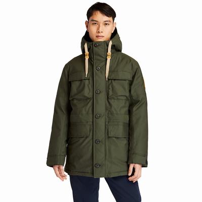 Timberland Wilmington DryVent™ Field Parka Ceketler Erkek Koyu Yeşil | TR-3195X